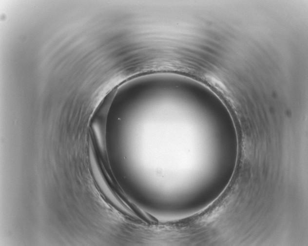 X0000088431089200705291519