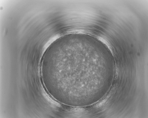 X0000088431090200705291519