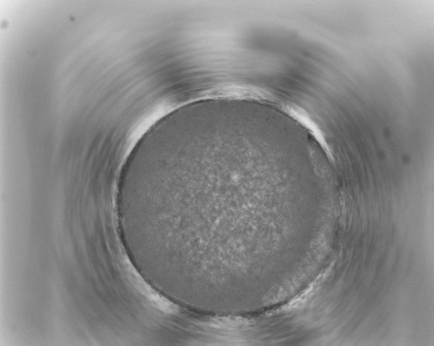 X0000088431091200705291519