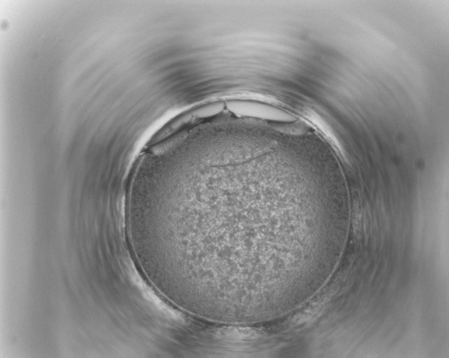 X0000088431092200705291519