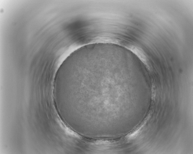 X0000088431094200705291519