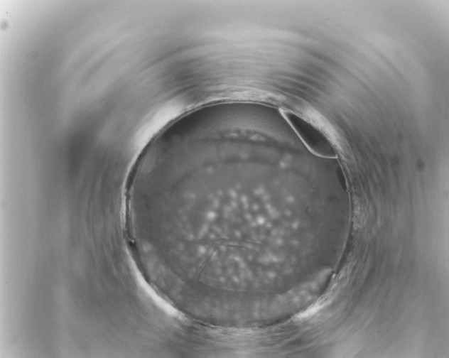 X0000088431095200705291519