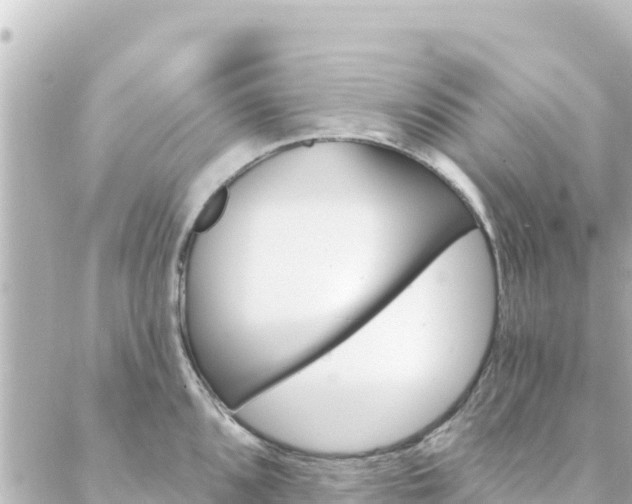 X0000088431096200705291519