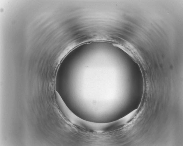 X0000088431097200705291519