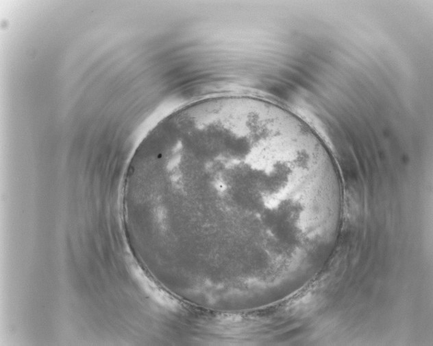 X0000088431098200705291519