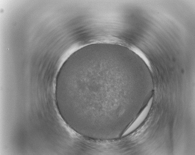 X0000088431099200705291519