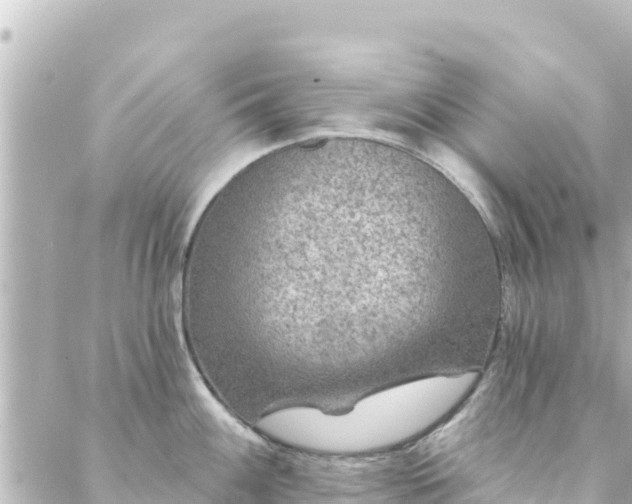 X0000088431100200705291519