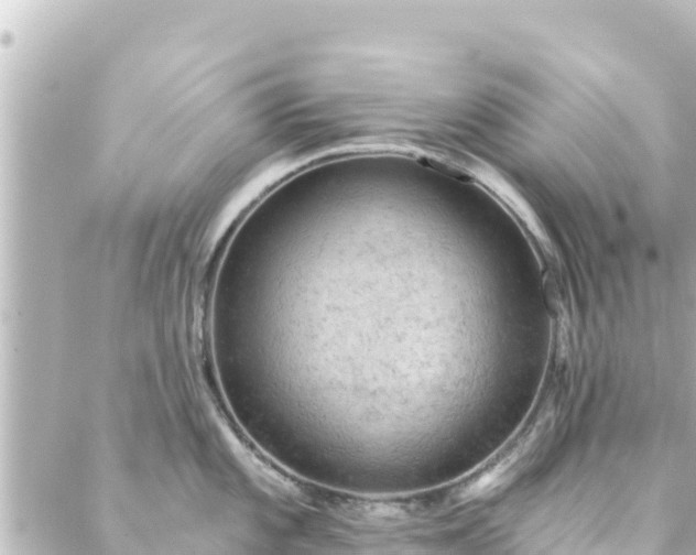 X0000088431101200705291519