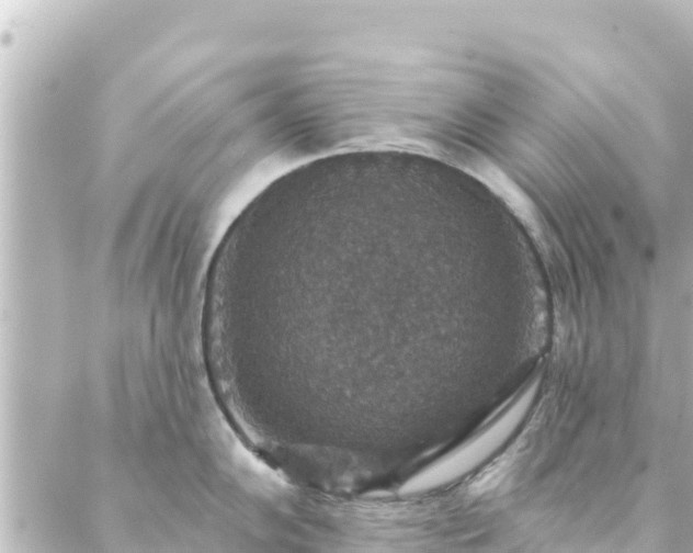 X0000088431102200705291519