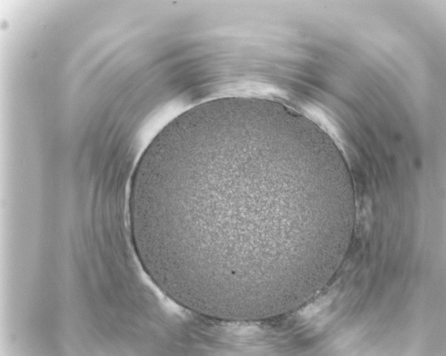 X0000088431103200705291519