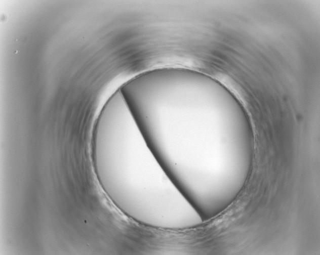 X0000088431104200705291519