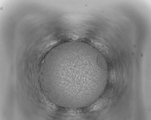 X0000088431105200705291518