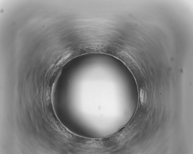 X0000088431107200705291518