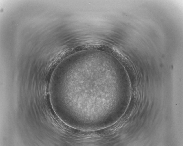 X0000088431108200705291518