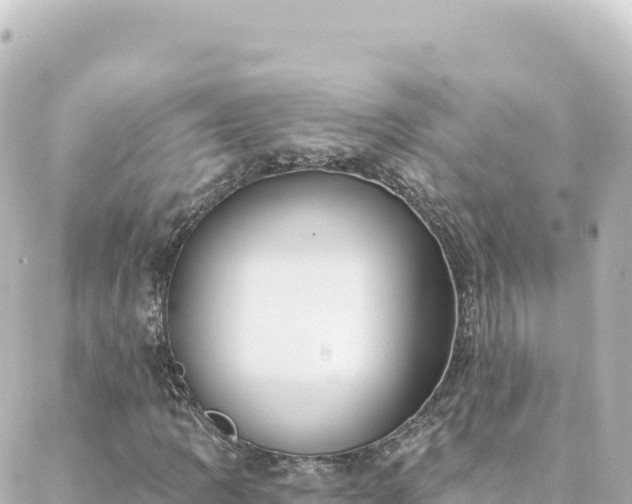 X0000088431109200705291518