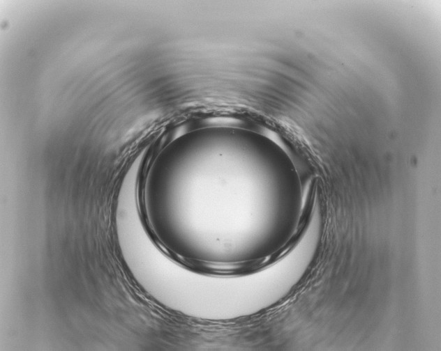 X0000088431110200705291518