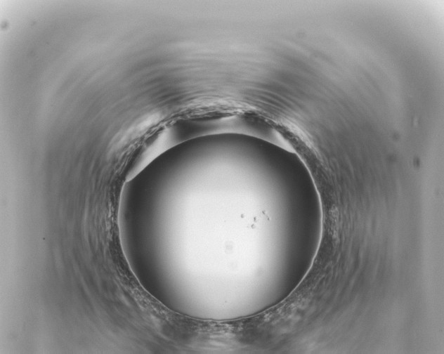 X0000088431111200705291518