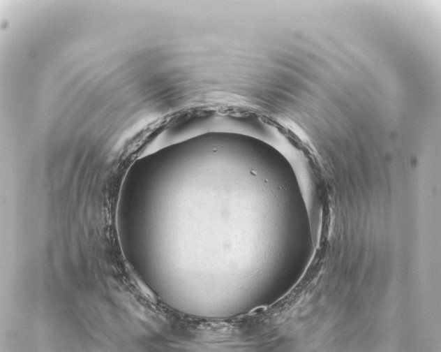 X0000088431112200705291518