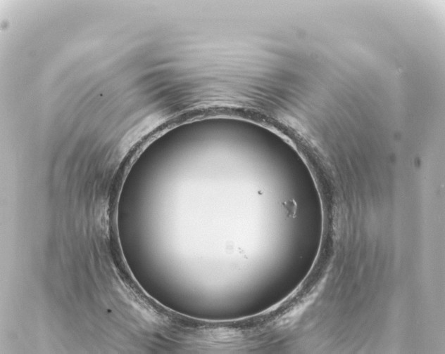 X0000088431113200705291518