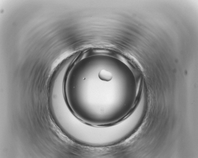 X0000088431114200705291518