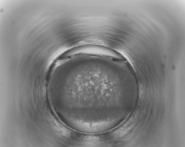 X0000088431115200705291518