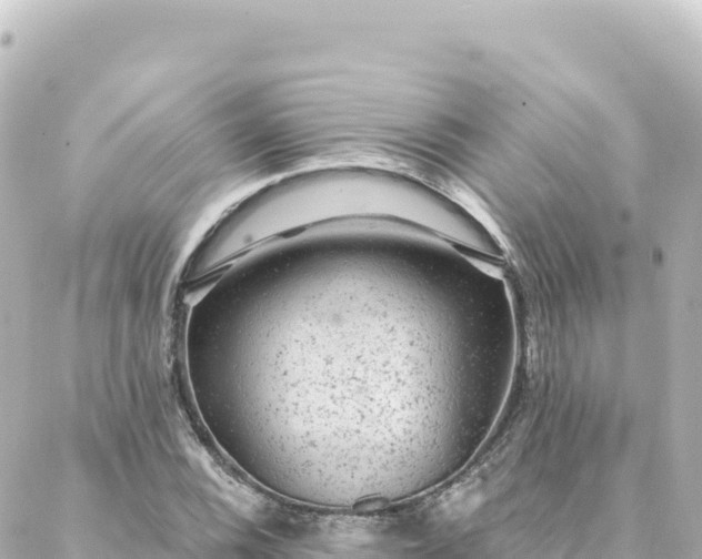 X0000088431116200705291518