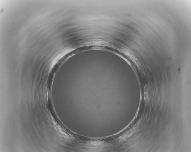 X0000088431117200705291518