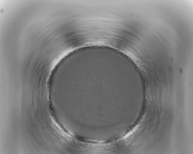 X0000088431118200705291518