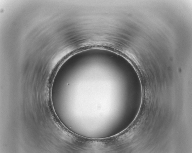 X0000088431119200705291518