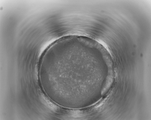 X0000088431120200705291518