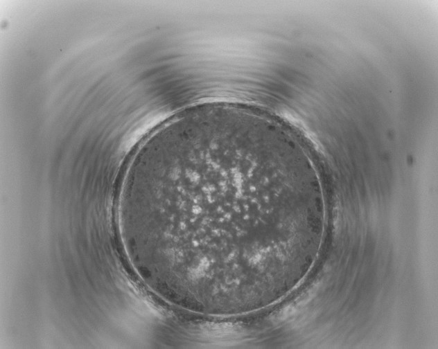 X0000088431121200705291518