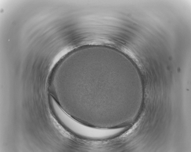 X0000088431122200705291518