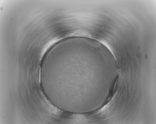 X0000088431123200705291518