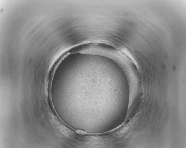 X0000088431124200705291518