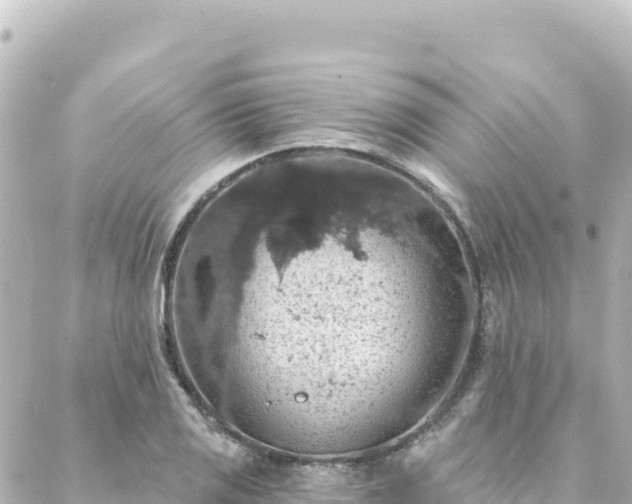 X0000088431125200705291518