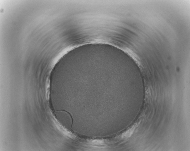 X0000088431126200705291518