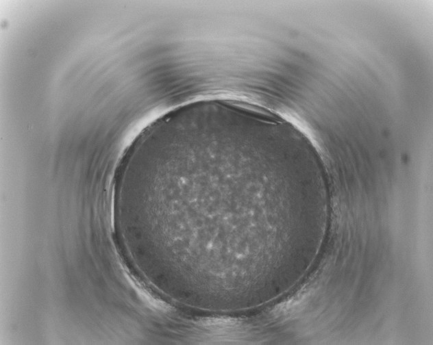 X0000088431127200705291518