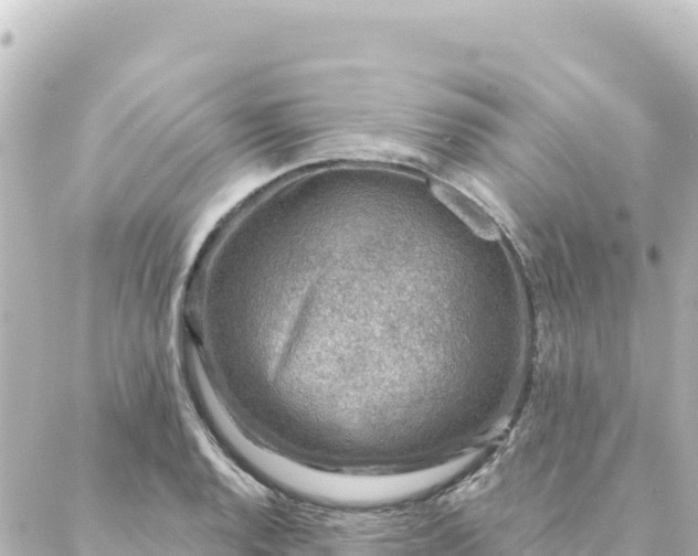 X0000088431128200705291518