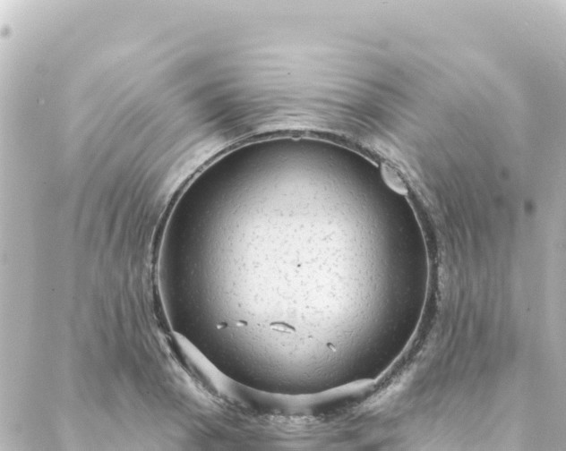 X0000088431129200705291518