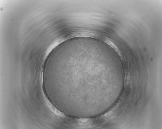 X0000088431130200705291518