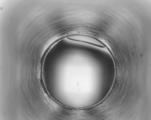 X0000088431131200705291518