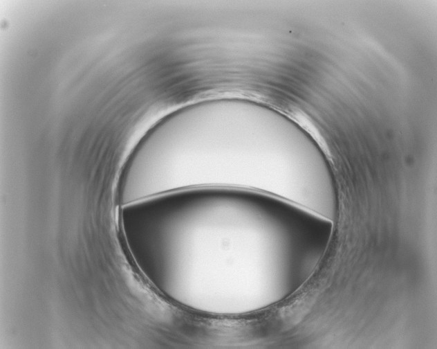 X0000088431132200705291518