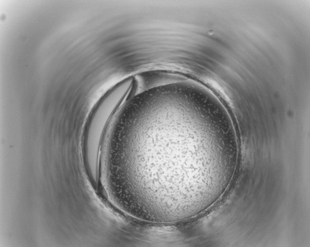 X0000088431133200705291518