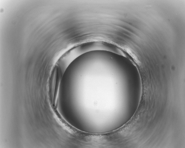 X0000088431134200705291518