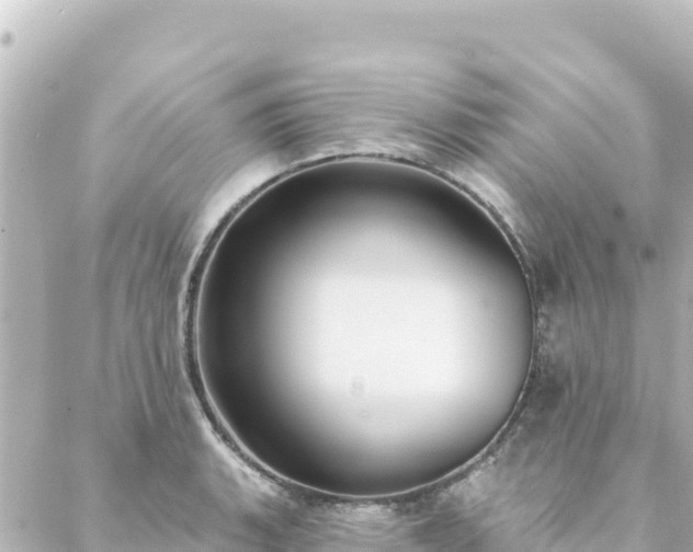 X0000088431135200705291518