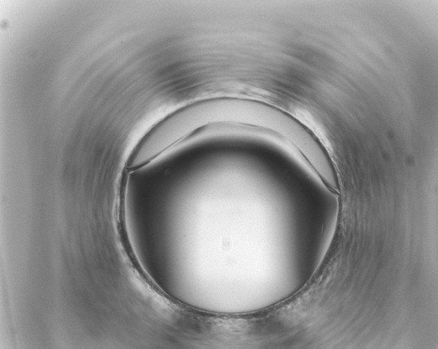 X0000088431136200705291518