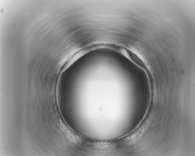 X0000088431137200705291518