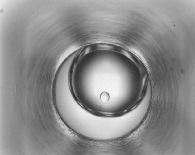 X0000088431138200705291518