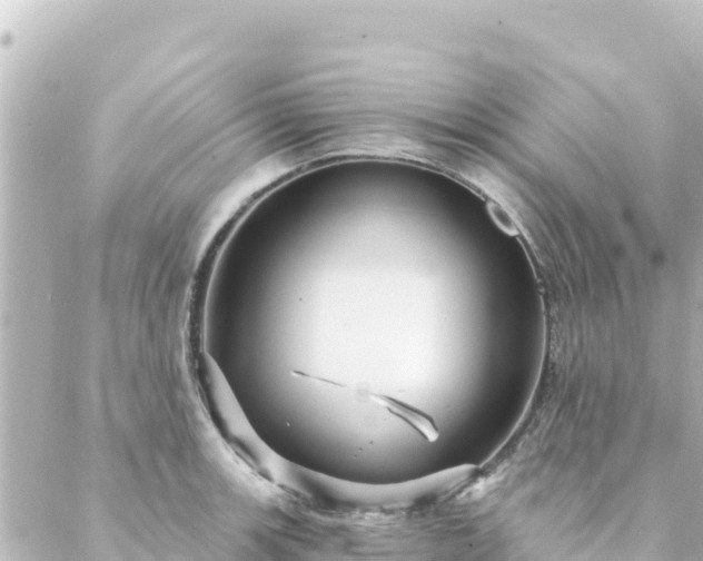 X0000088431139200705291518