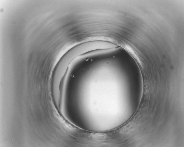 X0000088431140200705291518